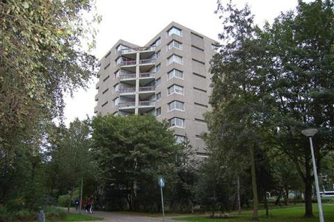Plaatshouder